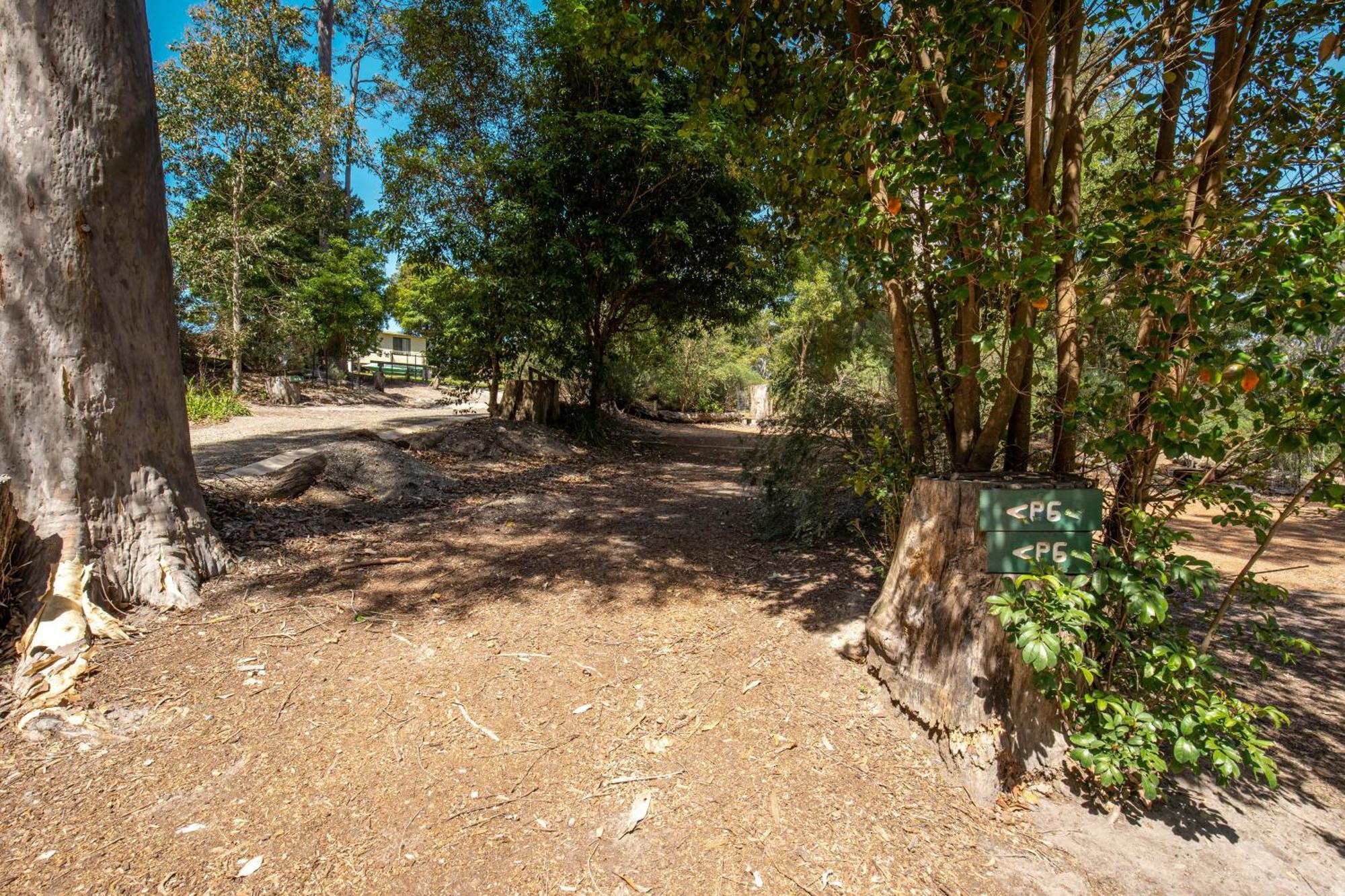 Durras Lake North Holiday Park Buitenkant foto